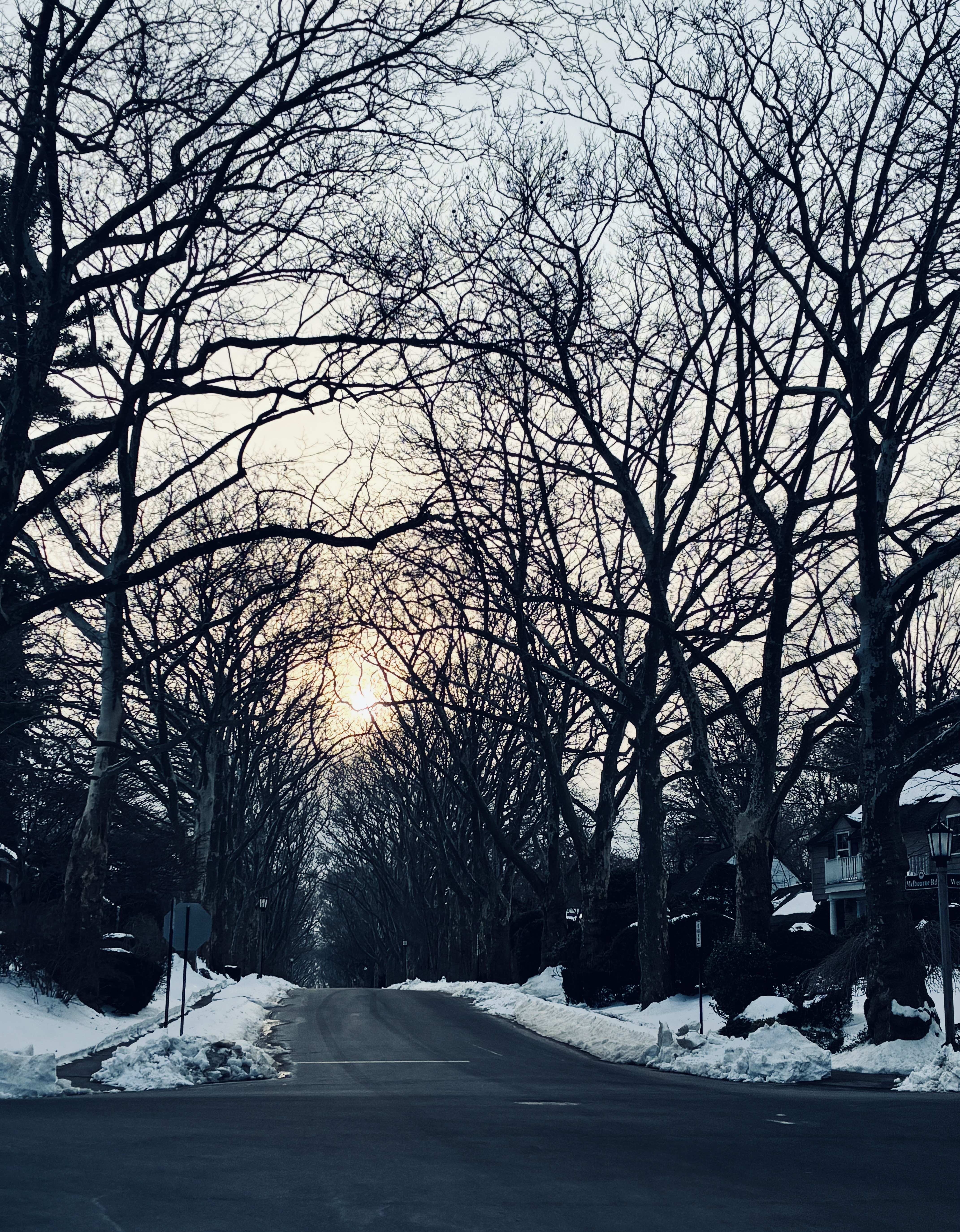 stationery materials laying on a grid